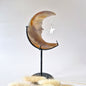 Druzy Grijze Agaat Edelsteen Maan #33 – 10 cm