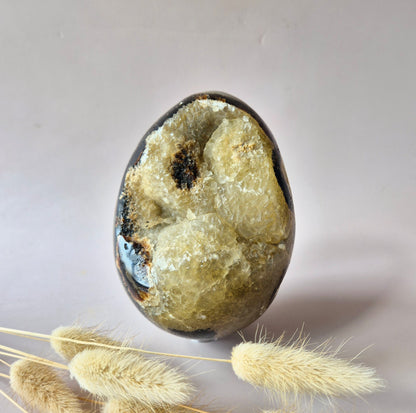 XXL Dragon Stone (Septarian) Edelsteen Druzy Ei op Standaard - 970 gram