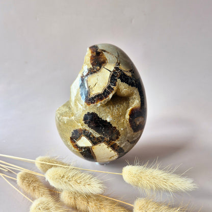 XXL Dragon Stone (Septarian) Edelsteen Druzy Ei op Standaard - 970 gram