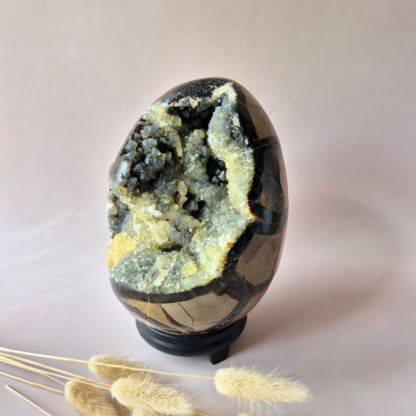 XXL Dragon Stone (Septarian) Edelsteen Druzy Ei op Standaard - 3350 gram