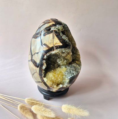 XXL Dragon Stone (Septarian) Edelsteen Druzy Ei op Standaard - 3350 gram