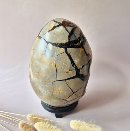 XXL Dragon Stone (Septarian) Edelsteen Druzy Ei op Standaard - 3350 gram