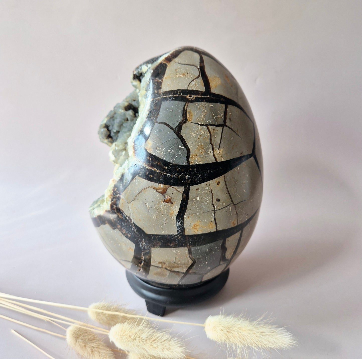 XXL Dragon Stone (Septarian) Edelsteen Druzy Ei op Standaard - 3350 gram
