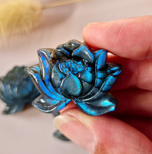 Labradoriet Lotus – Edelsteen Carving met Flash (3 cm)