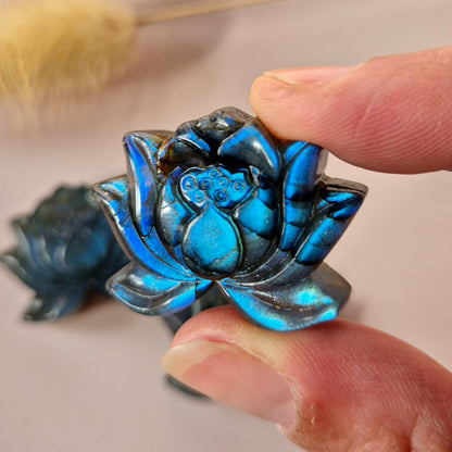 Labradoriet Lotus – Edelsteen Carving met Flash (3 cm)