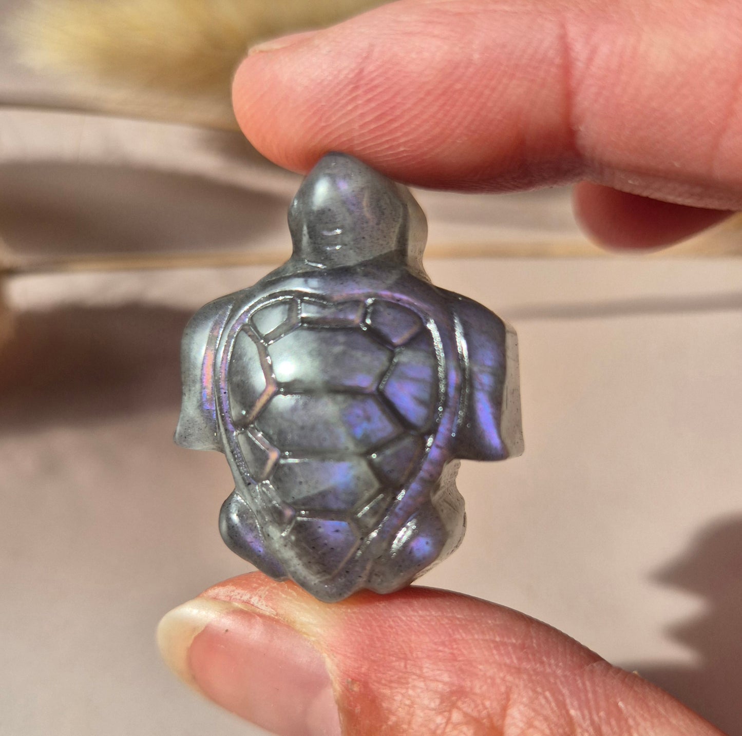 Paarse Labradoriet Schildpad – Edelsteen Carving (3cm)
