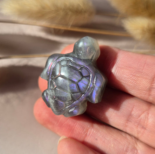 Paarse Labradoriet Schildpad – Edelsteen Carving (3cm)