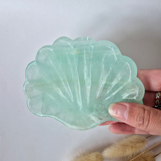 Edelsteen Carving Schaal Schelpvorm Groene Fluoriet #27 - Uniek Cadeau