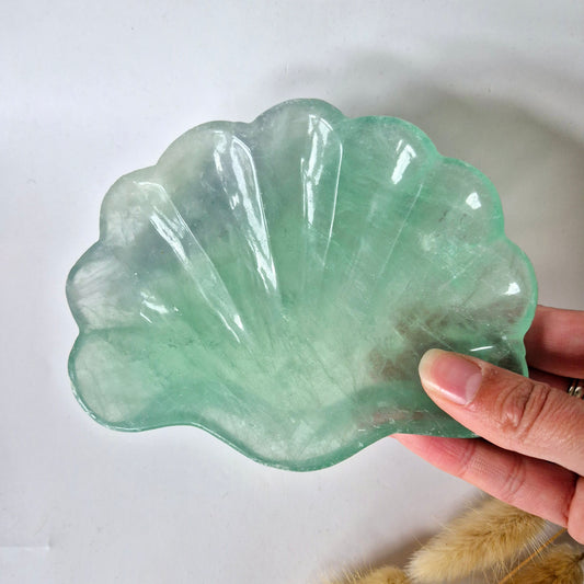 Edelsteen Carving Schaal Schelpvorm Groene Fluoriet #30 - Uniek Cadeau