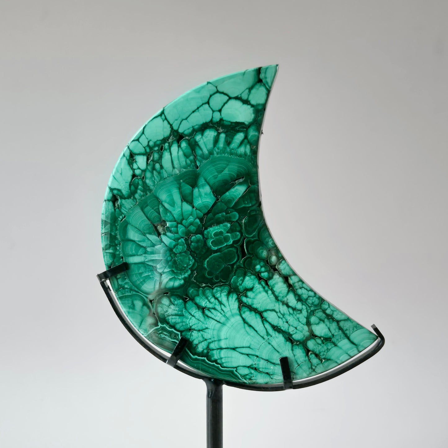 AA+ High‑quality Malachiet Maan op Standaard – 162g | Transformatie & Bescherming