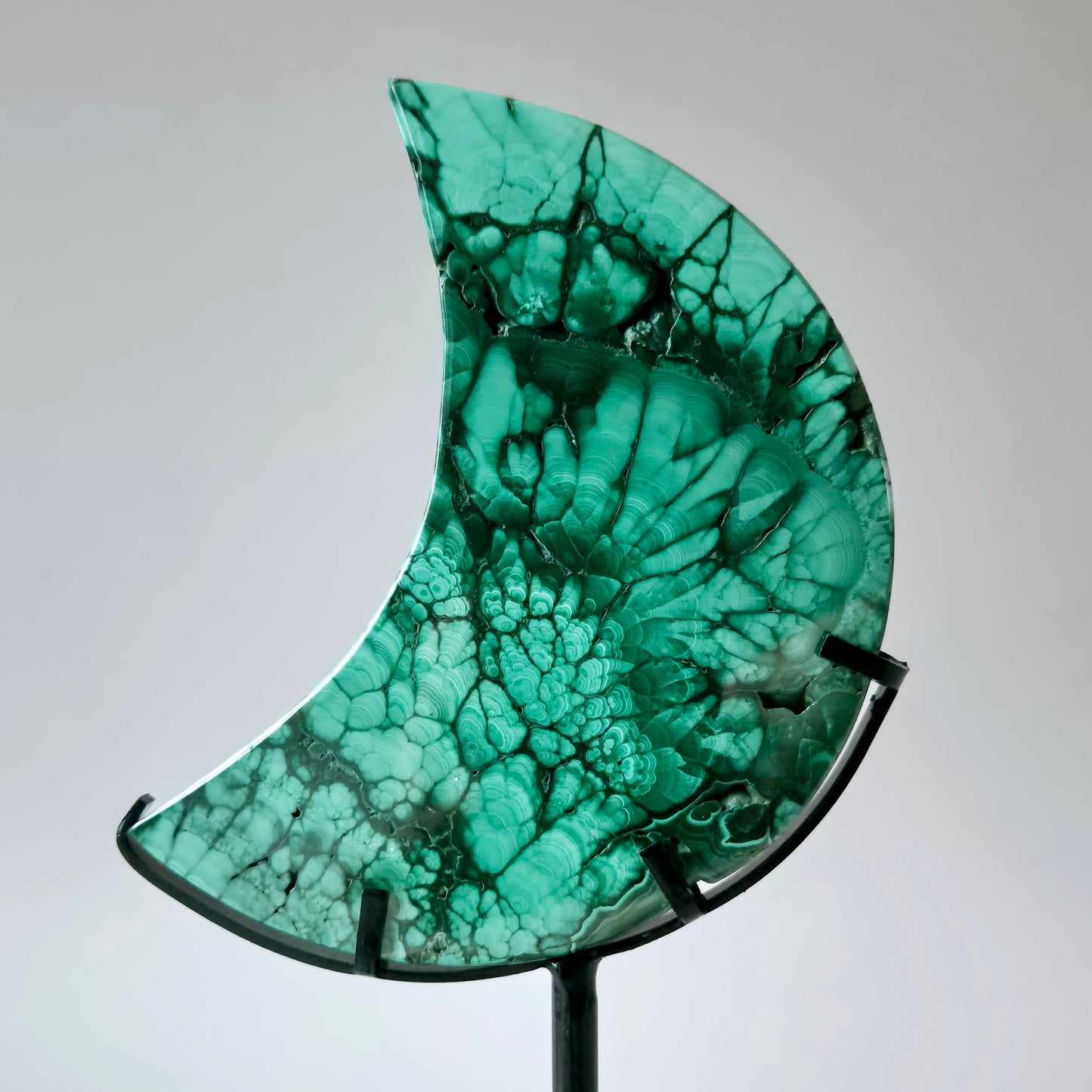 AA+ High‑quality Malachiet Maan op Standaard – 162g | Transformatie & Bescherming