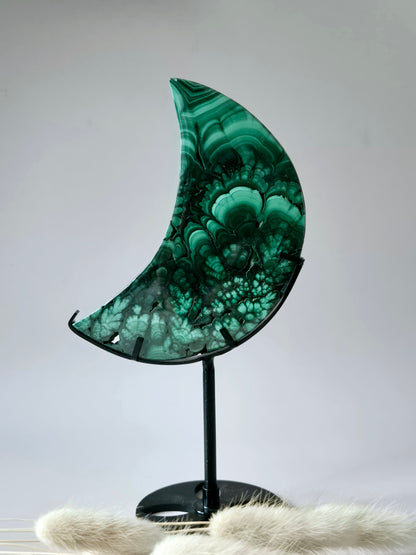 AA+ High‑quality Malachiet Maan op Standaard – 280g | Transformatie & Bescherming