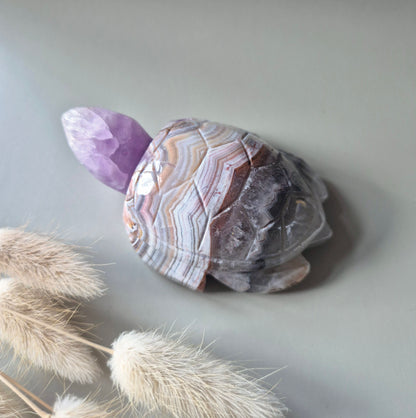 Edelsteen Carving Amethist Agaat Schildpad (230 gram)