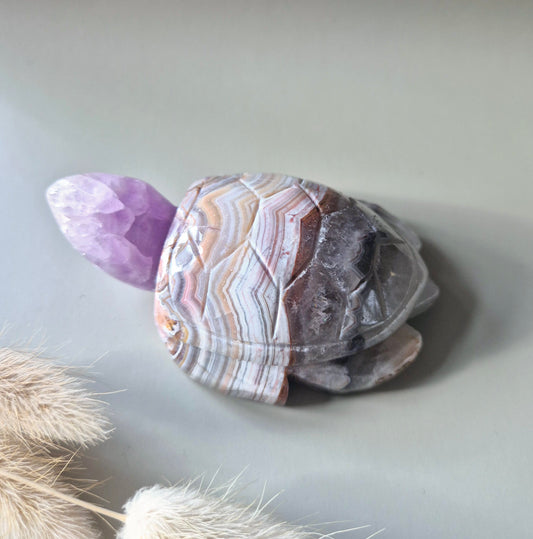 Edelsteen Carving Amethist Agaat Schildpad (230 gram)