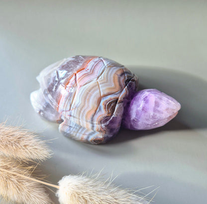 Edelsteen Carving Amethist Agaat Schildpad (230 gram)