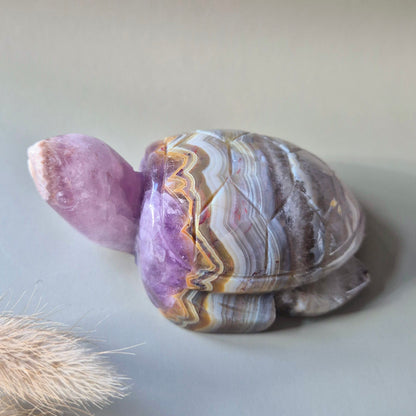 Edelsteen Carving Amethist Agaat Schildpad (223 gram)