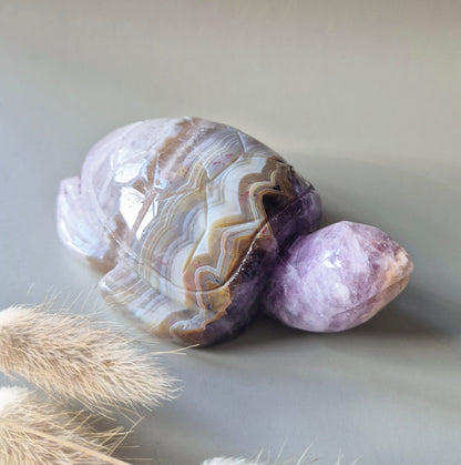 Edelsteen Carving Amethist Agaat Schildpad (223 gram)