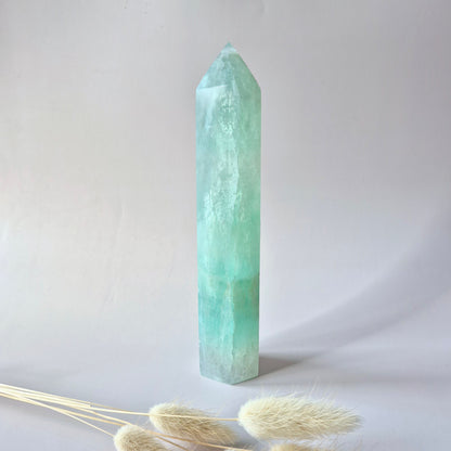 Grüne Fluoritspitze – Roh &amp; Poliert | Einzelstück 524 Gramm