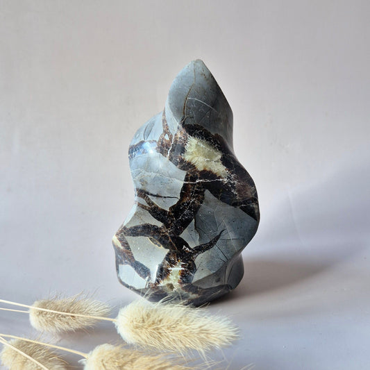 XL Edelsteen Septarian Flame – Aarding, Vertrouwen & Innerlijke Kracht (560g)