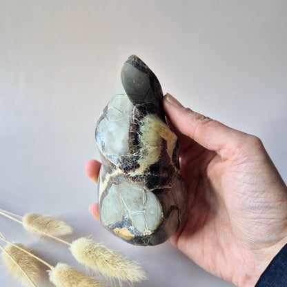 Edelstein Blauer Mondstein Flamme 7-9cm mit schönem Blitz