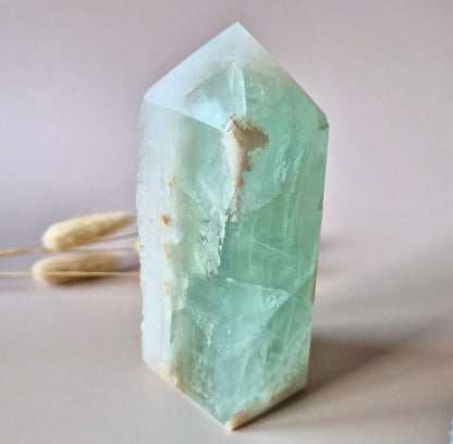 Grüne Fluoritspitze – Roh &amp; Poliert | Einzelstück 524 Gramm