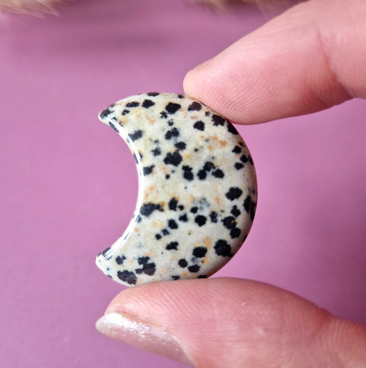 Edelsteen Maan 3cm Dalmatian Jasper – Handsteen worrystone zorgensteen Palmsteen spiritueel cadeau