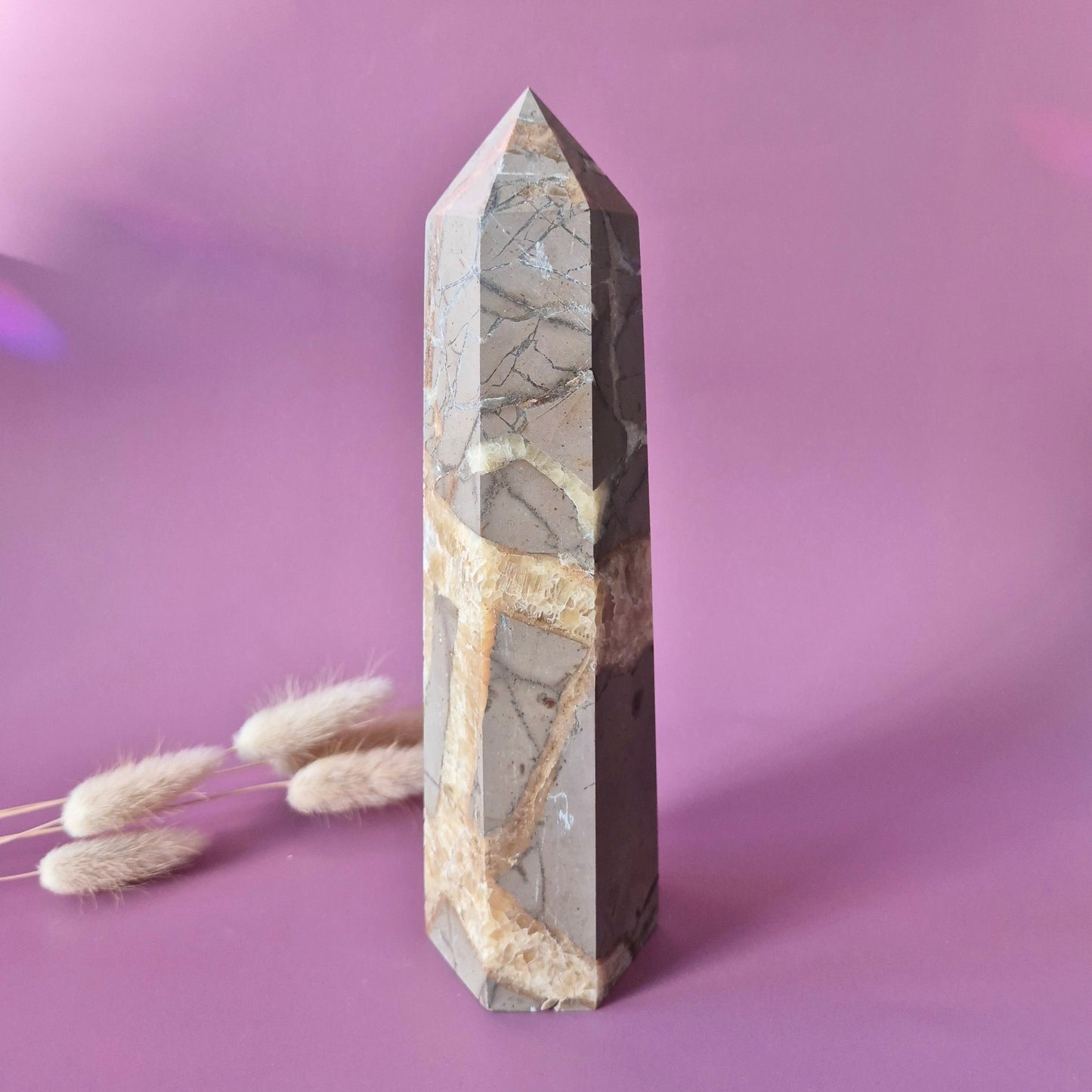 XXL Septarian Toren – 937g Kracht & Spirituele Rust Drakensteen Septarie obelisk statement piece