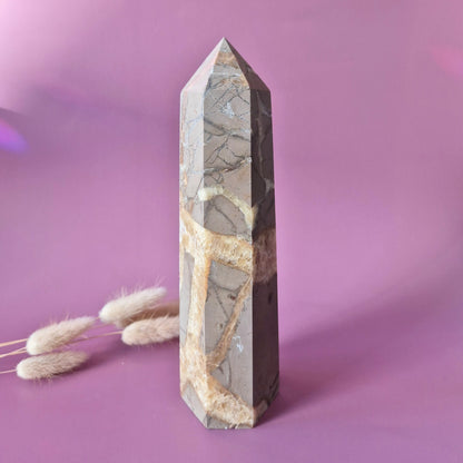 XXL Septarian Toren – 937g Kracht & Spirituele Rust Drakensteen Septarie obelisk statement piece