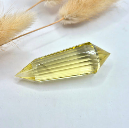 Premium Edelsteen AA+ Kwaliteit Citrien Vogel Crystal (24 Facetten) - 5cm