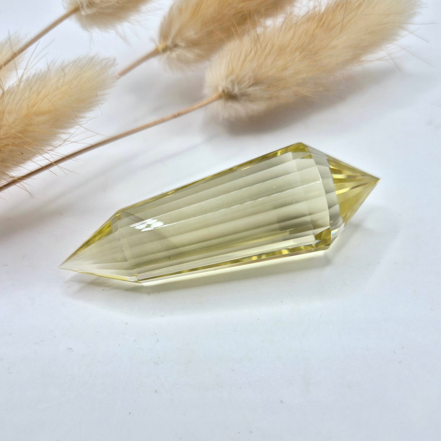 Premium Edelsteen AA+ Kwaliteit Citrien Vogel Crystal (24 Facetten) - 5cm