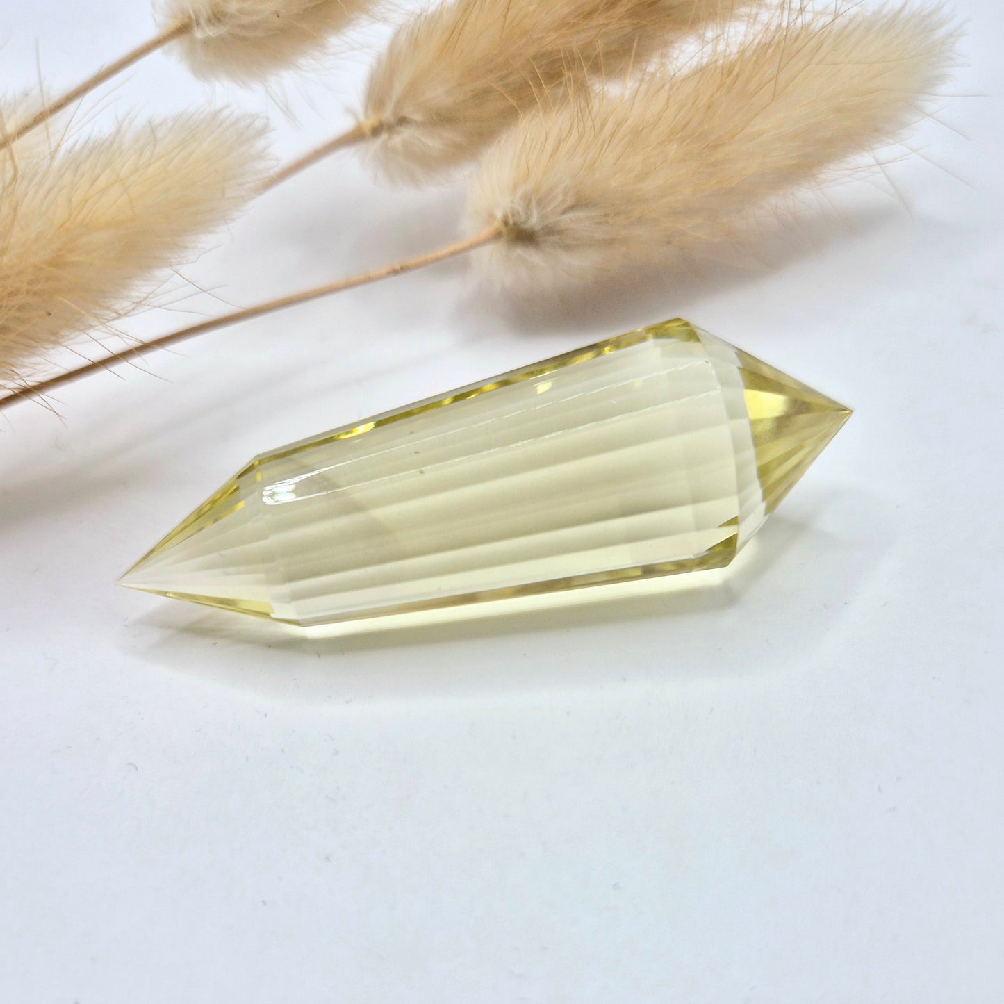 Premium Edelsteen AA+ Kwaliteit Citrien Vogel Crystal (24 Facetten) - 5cm