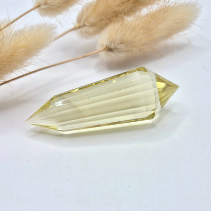 Premium Edelsteen AA+ Kwaliteit Citrien Vogel Crystal (24 Facetten) - 5cm