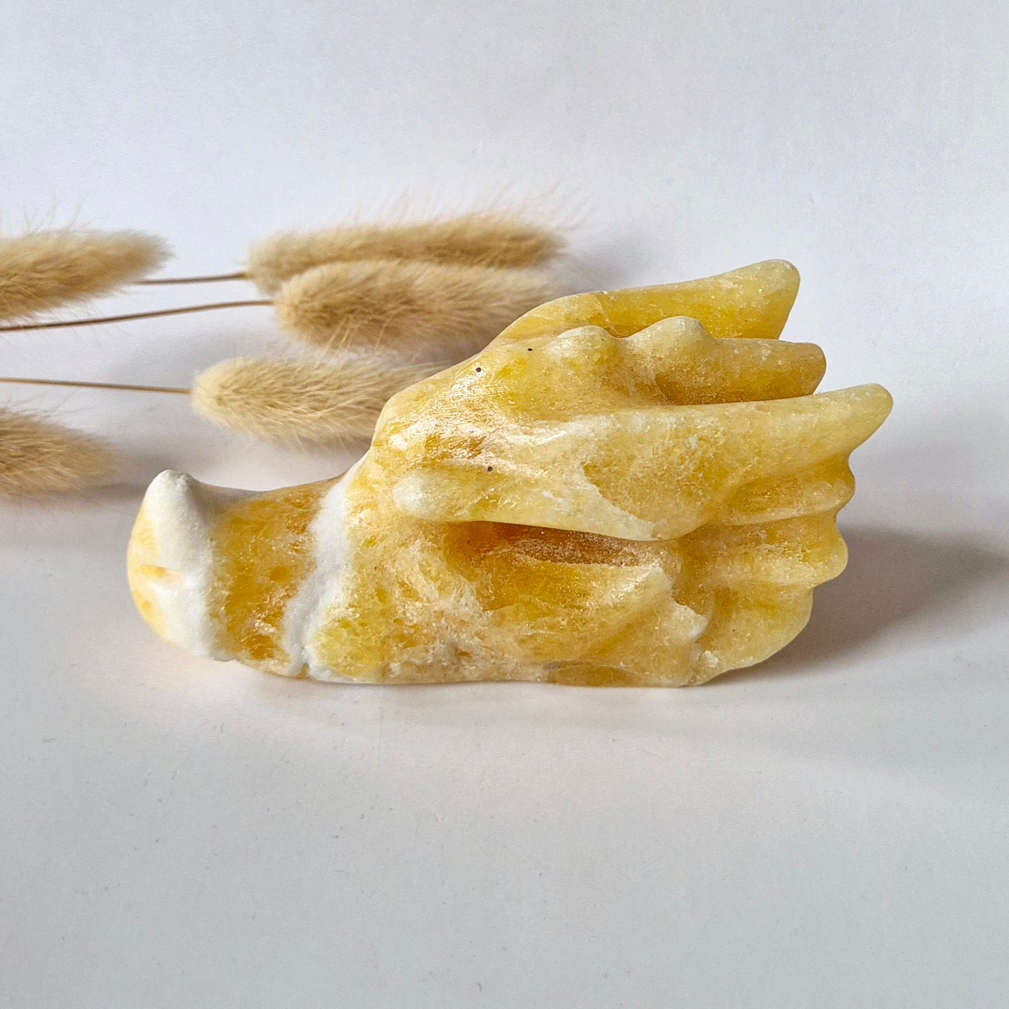 Honing Calciet Drakenschedel – Beschermende  Edelsteen Dragon Skull (10 cm)