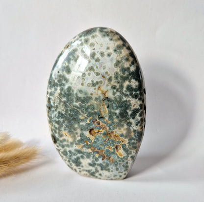 Edelsteen Spiritueel Statement piece Ocean Jasper Freeform – 511 gram