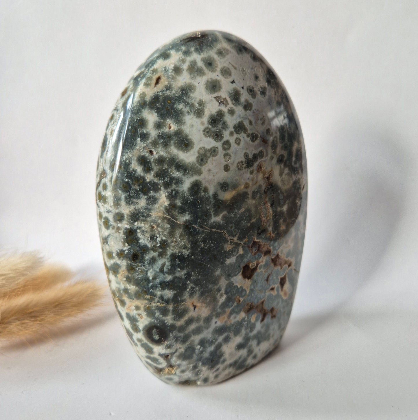 Edelsteen Spiritueel Statement piece Ocean Jasper Freeform – 511 gram