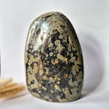 Edelsteen Spiritueel Statement piece Ocean Jasper Freeform – 1076 gram