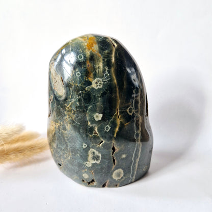 Edelsteen Spiritueel Statement piece Ocean Jasper Freeform – 819 gram