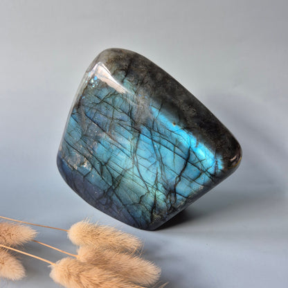 XXL Labradoriet Freeform van 1600g – Intense Flash & Spirituele Bescherming