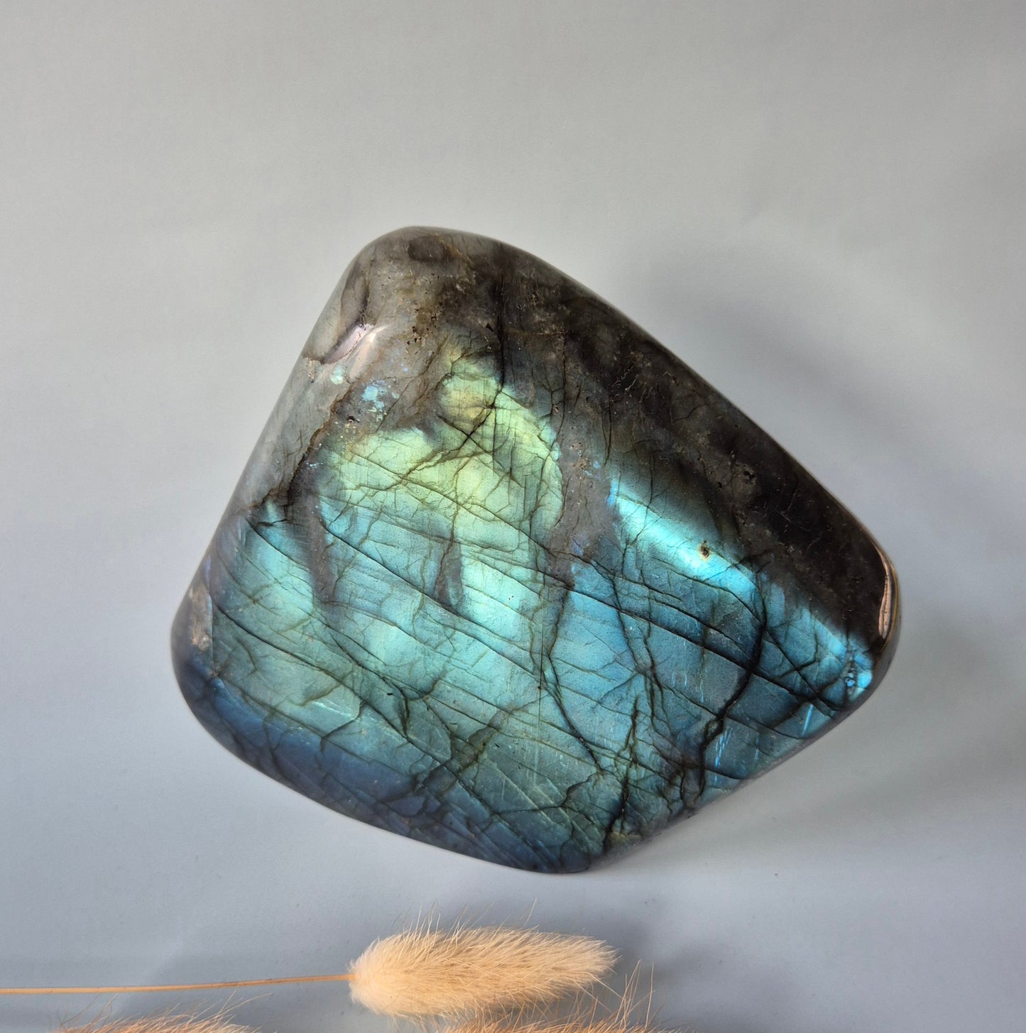 XXL Labradoriet Freeform van 1600g – Intense Flash & Spirituele Bescherming