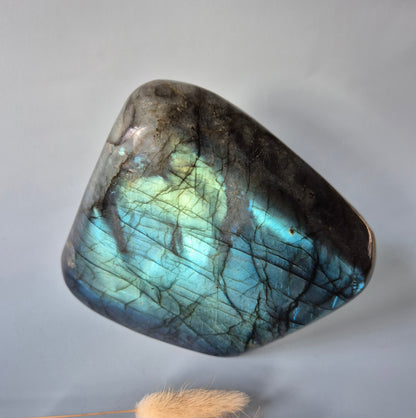 XXL Labradoriet Freeform van 1600g – Intense Flash & Spirituele Bescherming