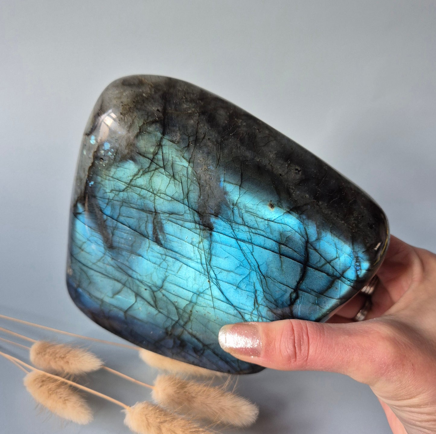 XXL Labradoriet Freeform van 1600g – Intense Flash & Spirituele Bescherming