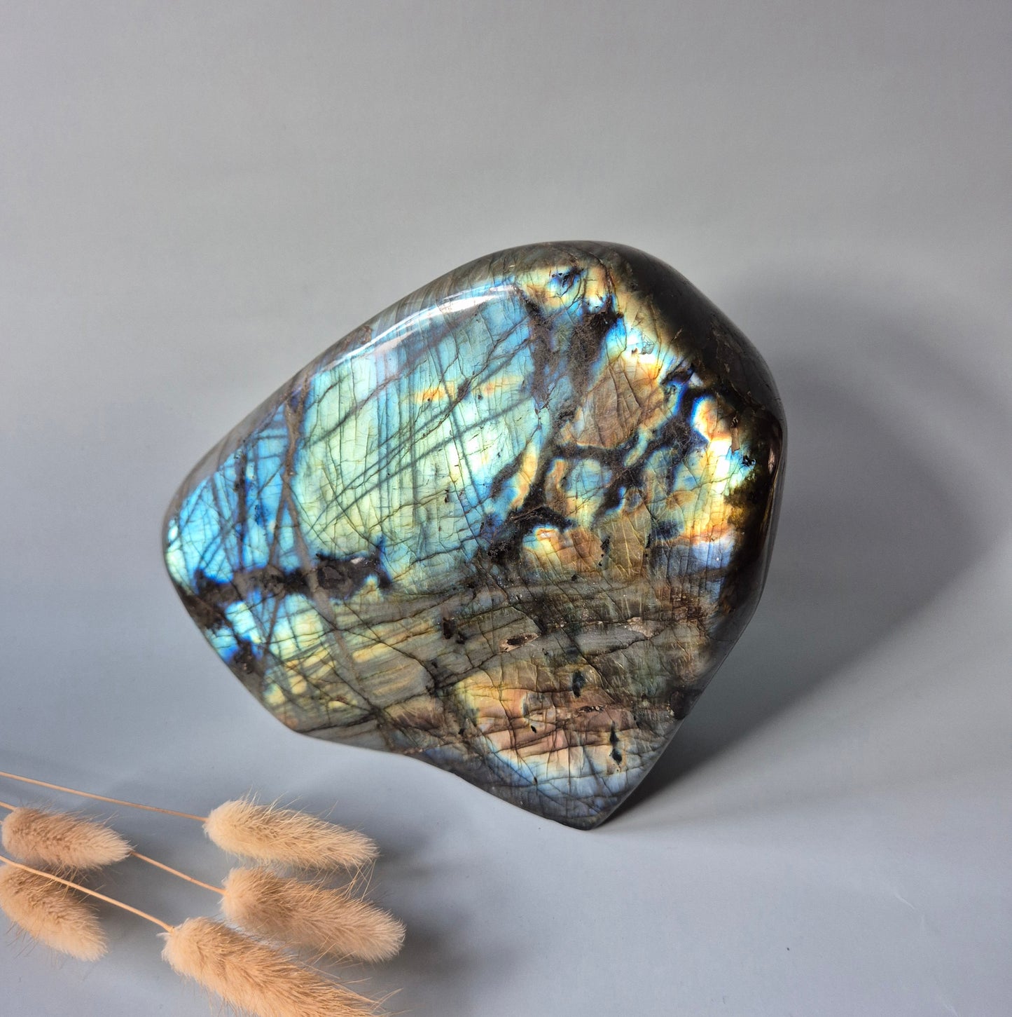 XXL Labradoriet Freeform van 3566g – Intense Flash & Spirituele Bescherming