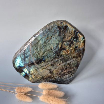 XXL Labradoriet Freeform van 3566g – Intense Flash & Spirituele Bescherming