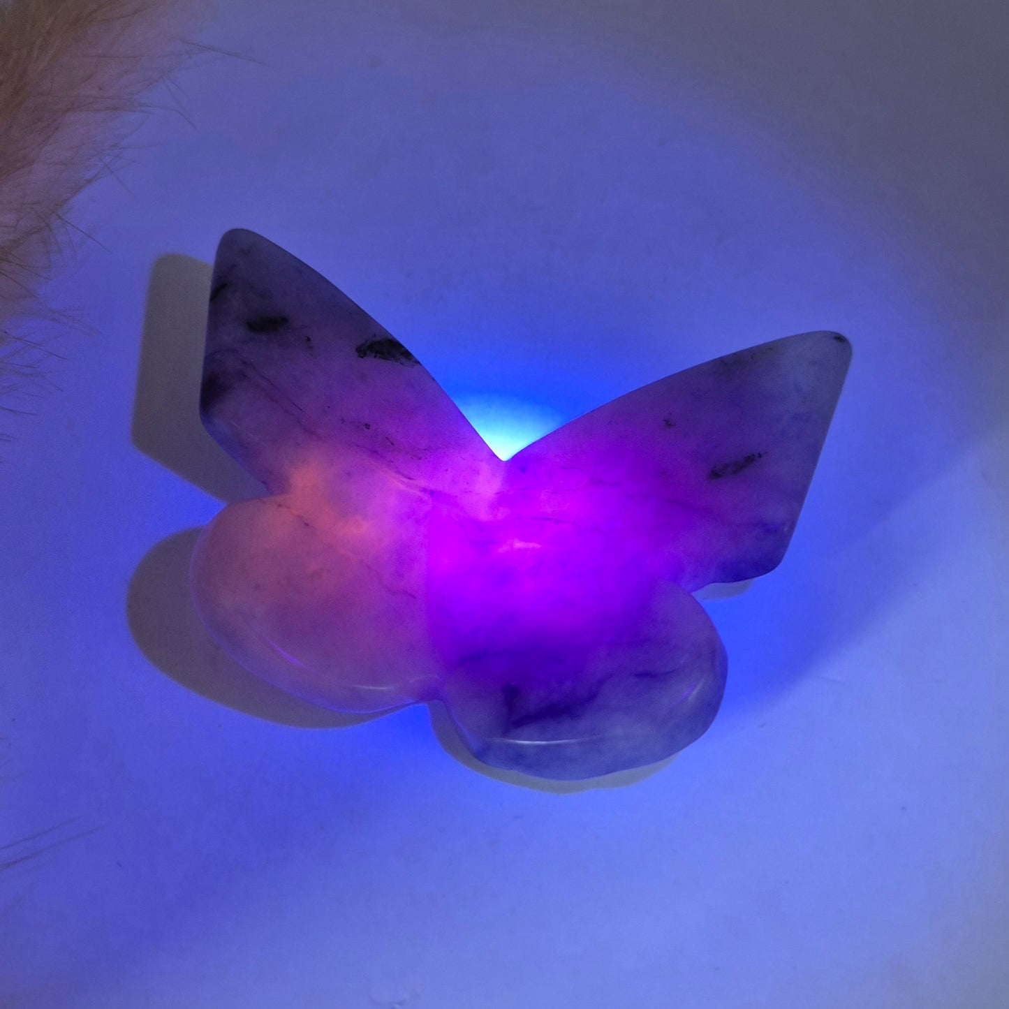 Edelsteen Vlinder  6x5 cm – Sodaliet