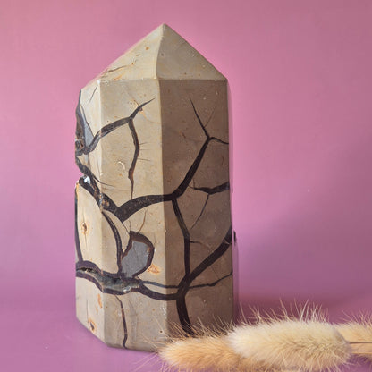XXL Septarian Toren met Druzy – 2.1 kg | Statement Crystal