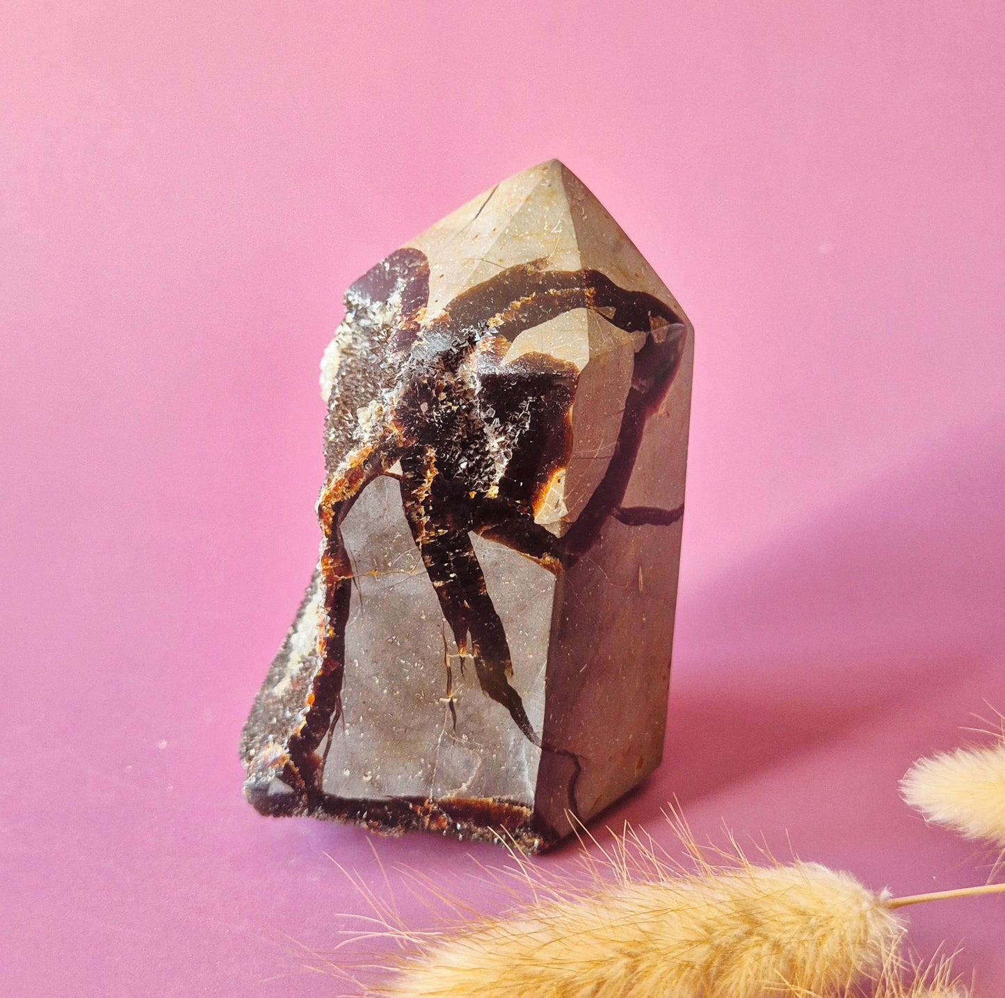 Druzy Septarian Toren – 455g Kracht & Spirituele Rust Drakensteen Septarie obelisk statement piece