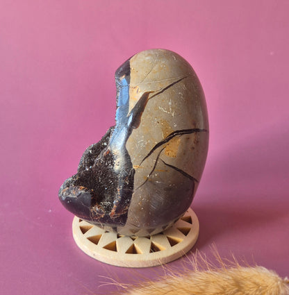 Dragon Stone (Septarian) Edelsteen Druzy Ei op Standaard - 369g