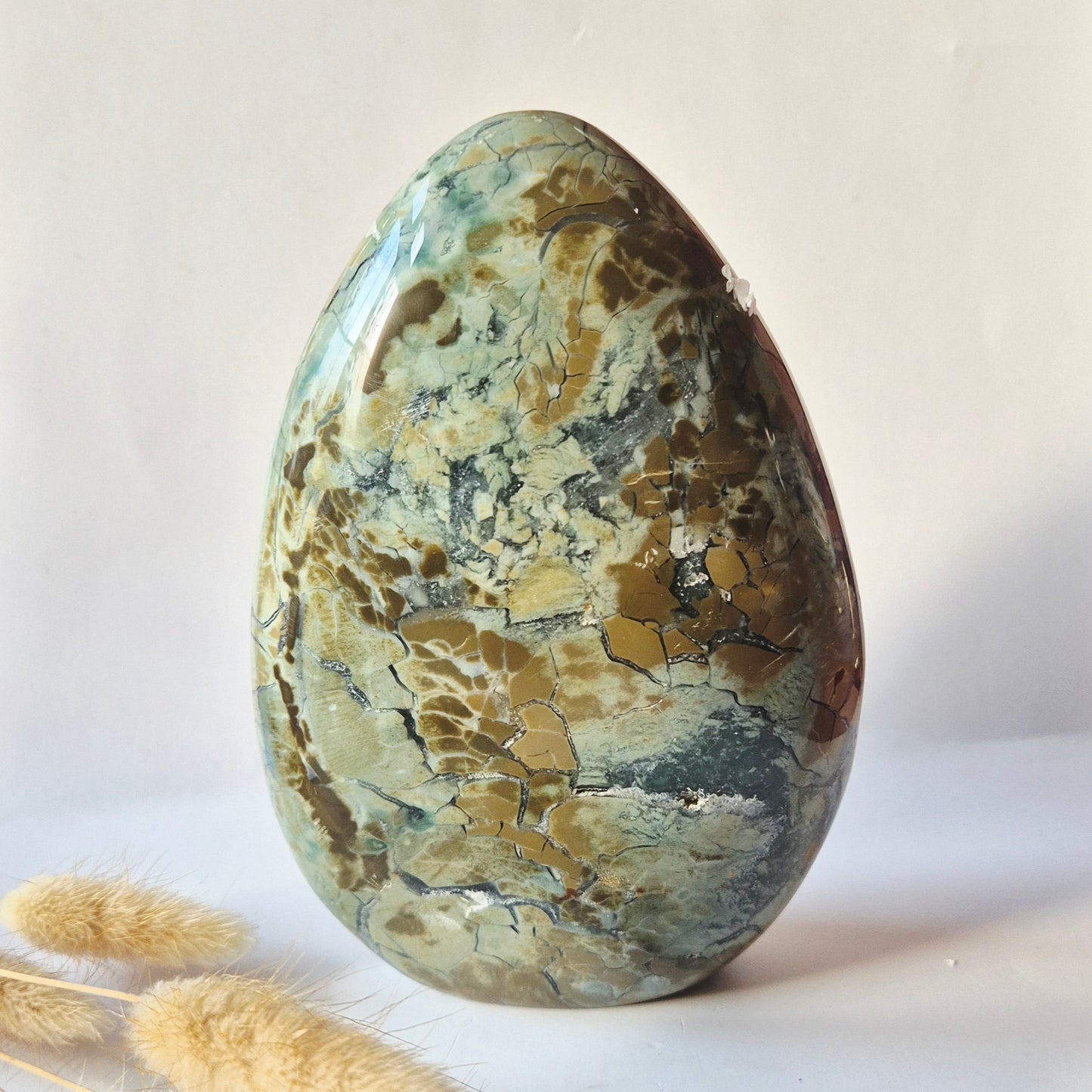 Ocean Jasper Freeform - 970g Edelsteen Spiritueel Statement piece