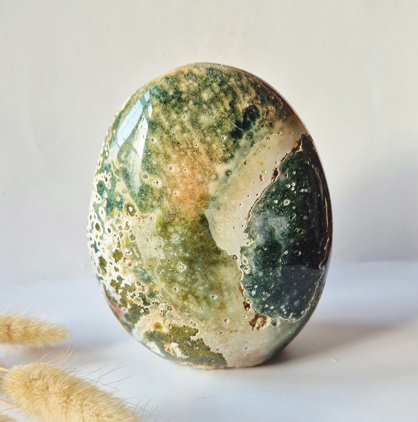 Ocean Jasper Freeform - 1000g Edelsteen Spiritueel Statement piece