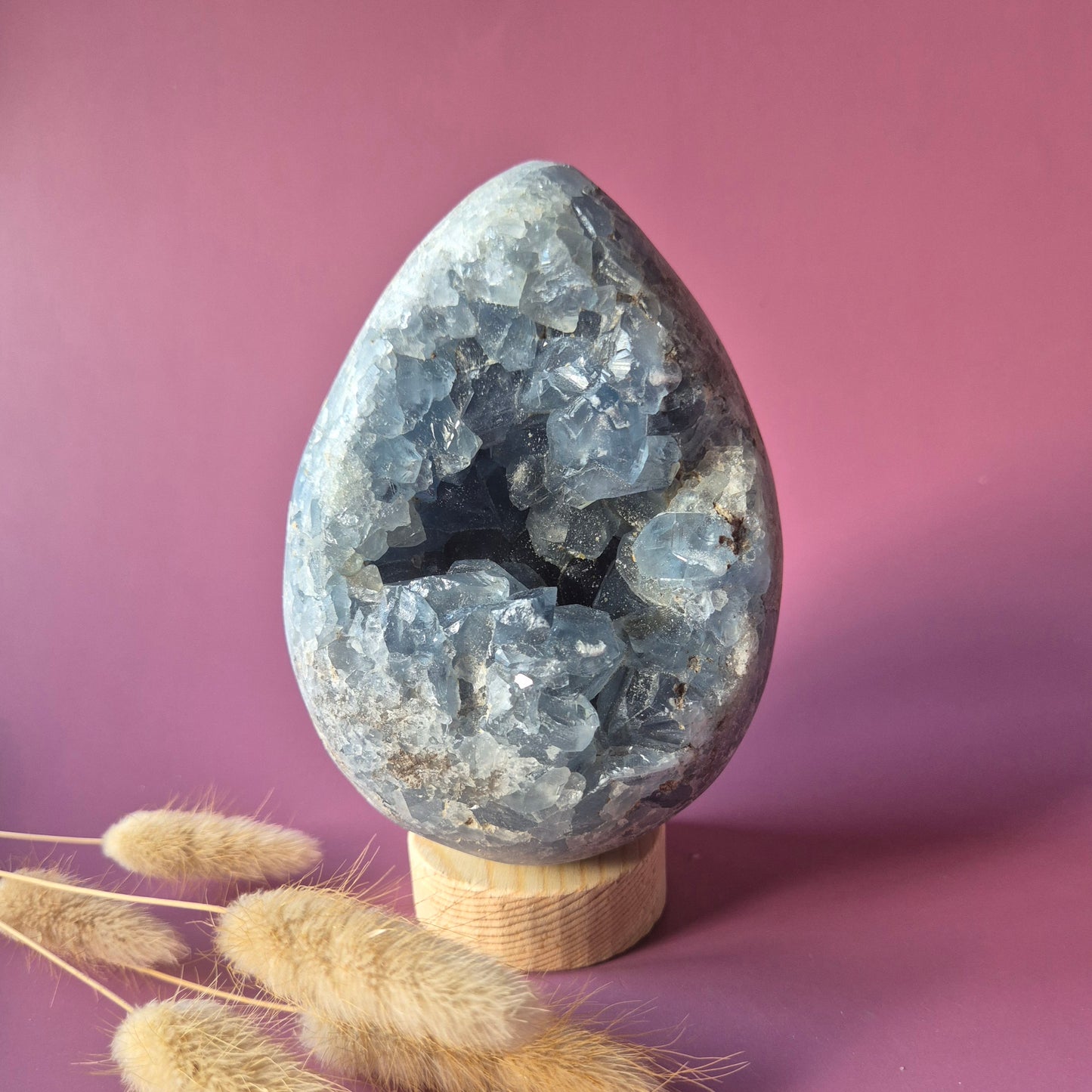 XL Celestite Geode Ei – 1637 gram | Hemelsblauw rustpunt met engelenenergie (Celestien)